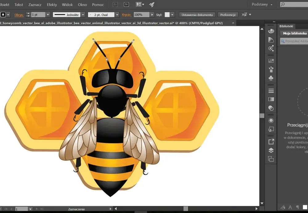 Programy do grafiki wektorowej - Który wybrać do logo, UI i druku?