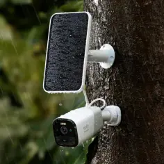 Kamera monitoringu z panelem solarnym na drzewie podczas deszczu. Zastanawiasz się, jaka karta SIM do kamery monitoringu będzie najlepsza?
