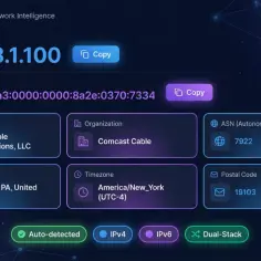 Szczegóły połączenia sieciowego: adres IPv4 192.168.1.100, IPv6, Comcast, lokalizacja w USA. Sprawdź swój adres IP, jakbyś szukał DNS Google.