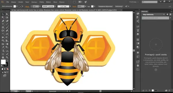 Programy do grafiki wektorowej - Który wybrać do logo, UI i druku?