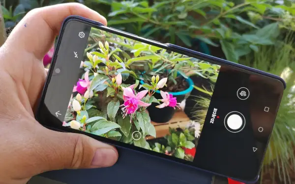 PlantSnap - rozpoznawanie roślin ze zdjęć. Czy warto?